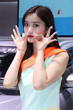 联系客服与下载入口